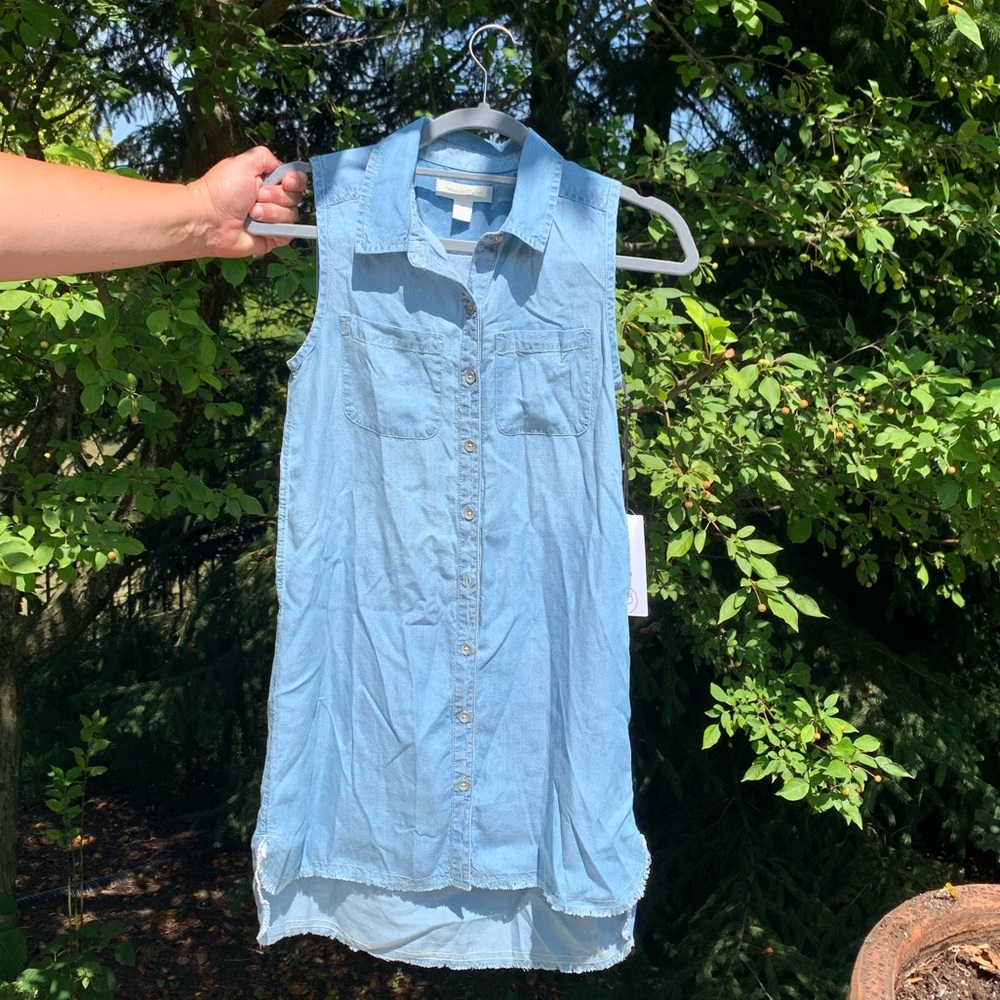 Treasure & Bond dress